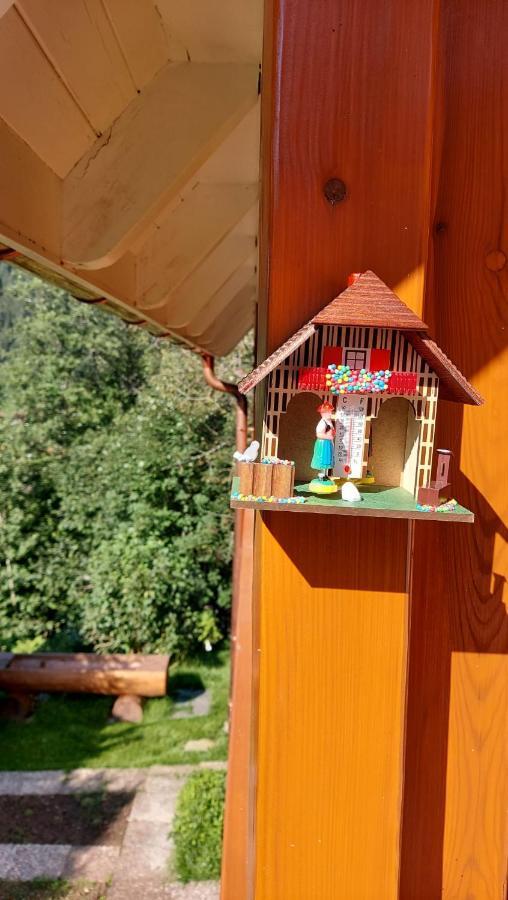 Ferienhaus Barbey St. Blasien Ngoại thất bức ảnh