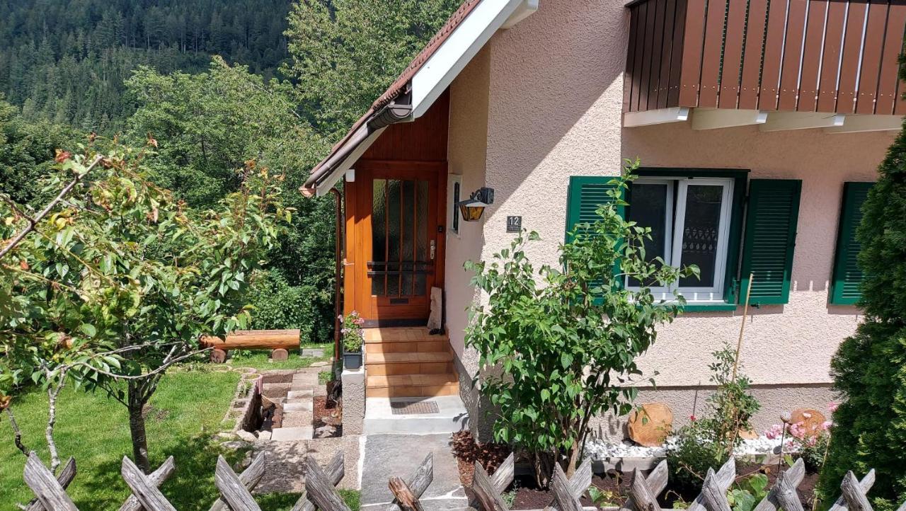 Ferienhaus Barbey St. Blasien Ngoại thất bức ảnh