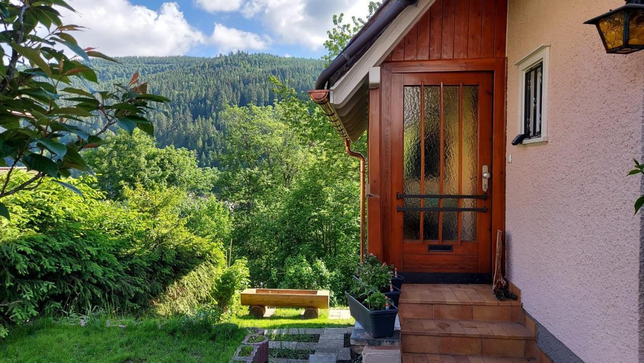 Ferienhaus Barbey St. Blasien Ngoại thất bức ảnh